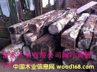 ��~�S̴ԭľ��Ԕ����B