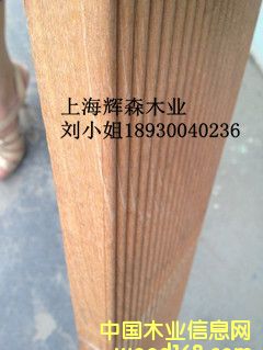 巴勞1的詳細(xì)介紹