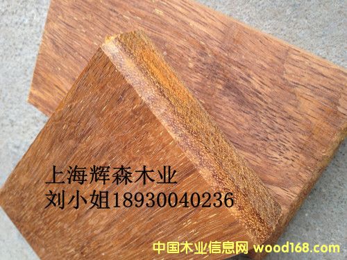 ӡ�Ფ�}��1��Ԕ��(x��)��B