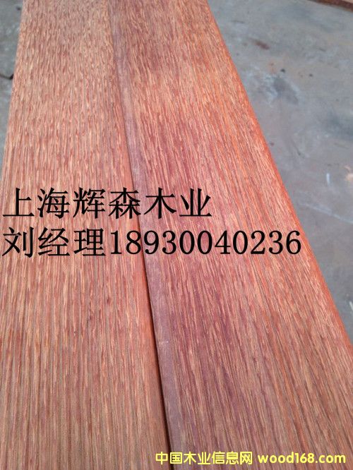 門格2的詳細(xì)介紹