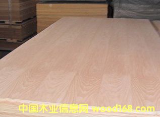 ָ�Ӱ����z�ϰ��������z�ϰ塢�����N����Ӱ��Ԕ��(x��)��B