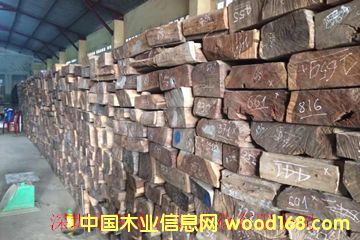 ��t��֦���ϵ�Ԕ��(x��)��B