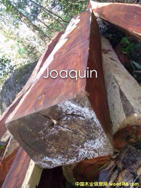 �����R΢���S̴��Ԕ��(x��)��B