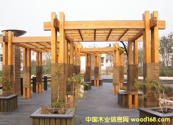 �c(di��n)���鿴���l(f��)����ľ�Ŵ�DƬ