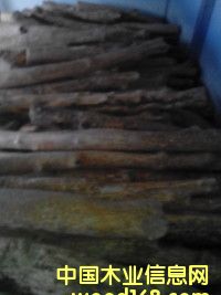 С�~�S���Ԕ��(x��)��B