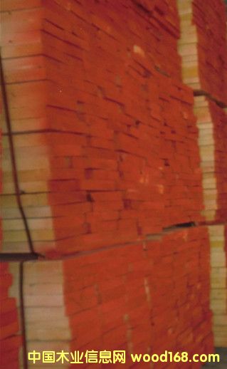 ��ɼ��Ԕ����B