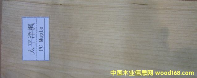 ̫ƽ�����Ԕ��(x��)��B