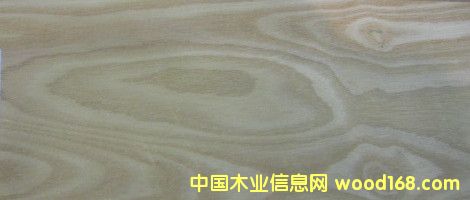 白臘木的詳細(xì)介紹