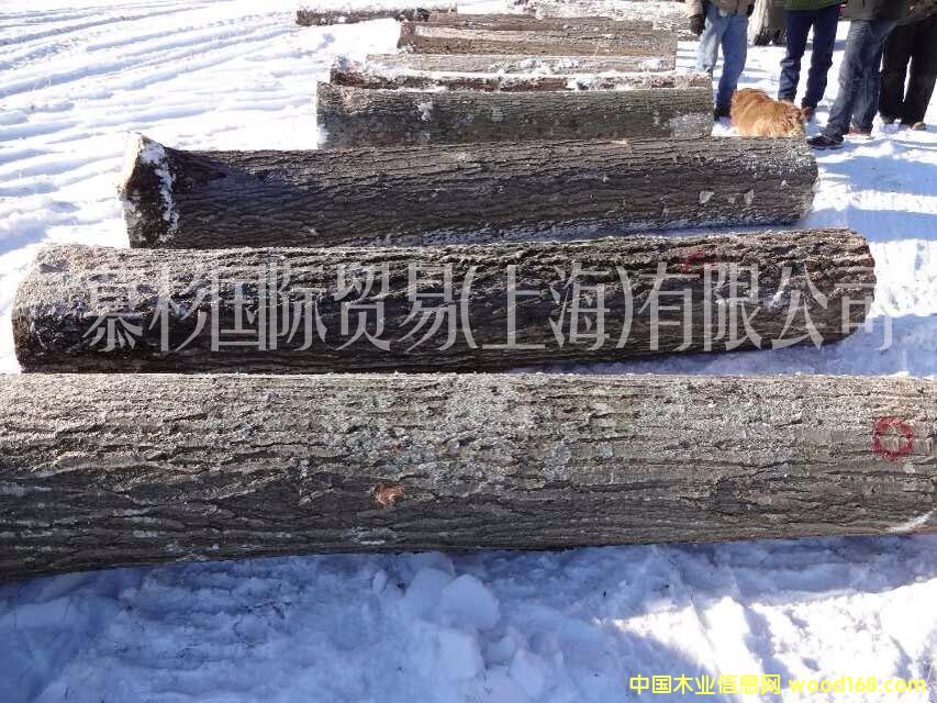 ����(gu��)�t��