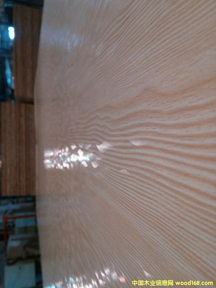 ���B(t��i)�僞(y��u)ȱ�c(di��n)���B(t��i)��S�ҷ���