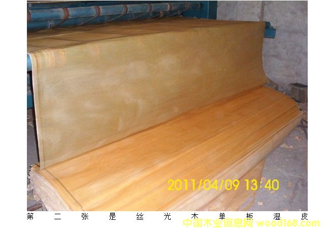 �z��ľľƤ��Ԕ��(x��)��B