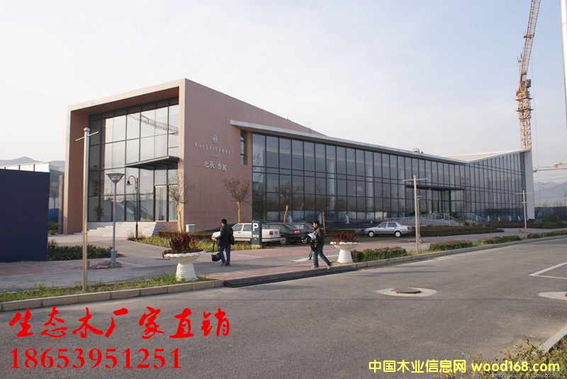 ���������B(t��i)ľ�����b���r��