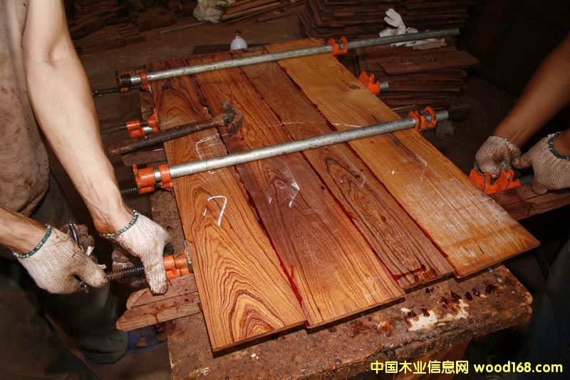 �c���鿴YJ---�νM�ݼtľƴ���z�Ŵ�DƬ