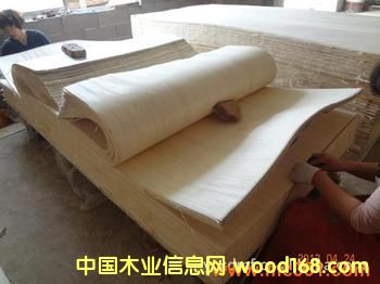 �c���鿴��������z:YJ---1005�Ŵ�DƬ