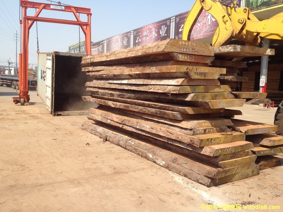 巴花的詳細(xì)介紹