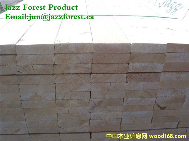 [��] ���ô���ľ�Ĺ�˾ֱ������SPF������ɼ���Fɼ