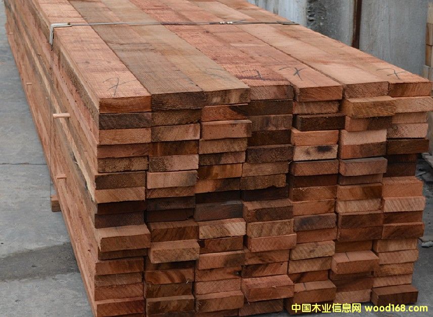 �c(di��n)���鿴�tѩ�ɰ�ķŴ�DƬ