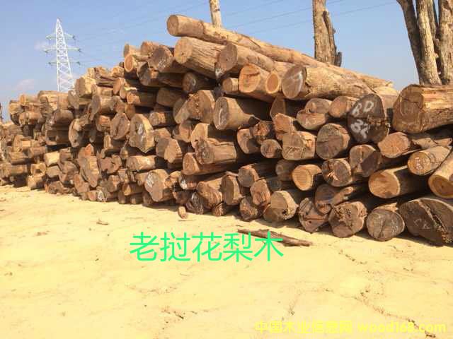 �ϓ뻨��ľ��Ԕ��(x��)��B