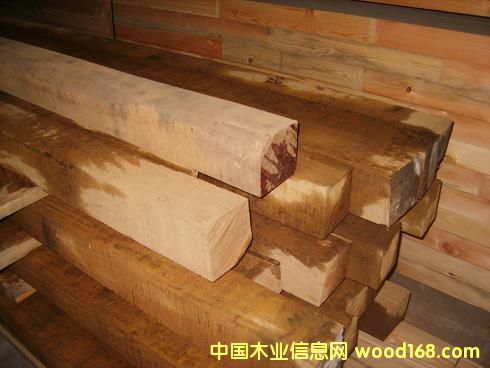 �c(di��n)���鿴��ľ�Ŵ�DƬ