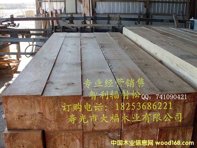 ����ݗ����