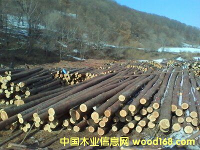 ���~�ɵ�Ԕ����B