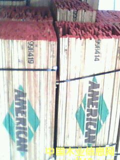 ����ľ��Ԕ��(x��)��B