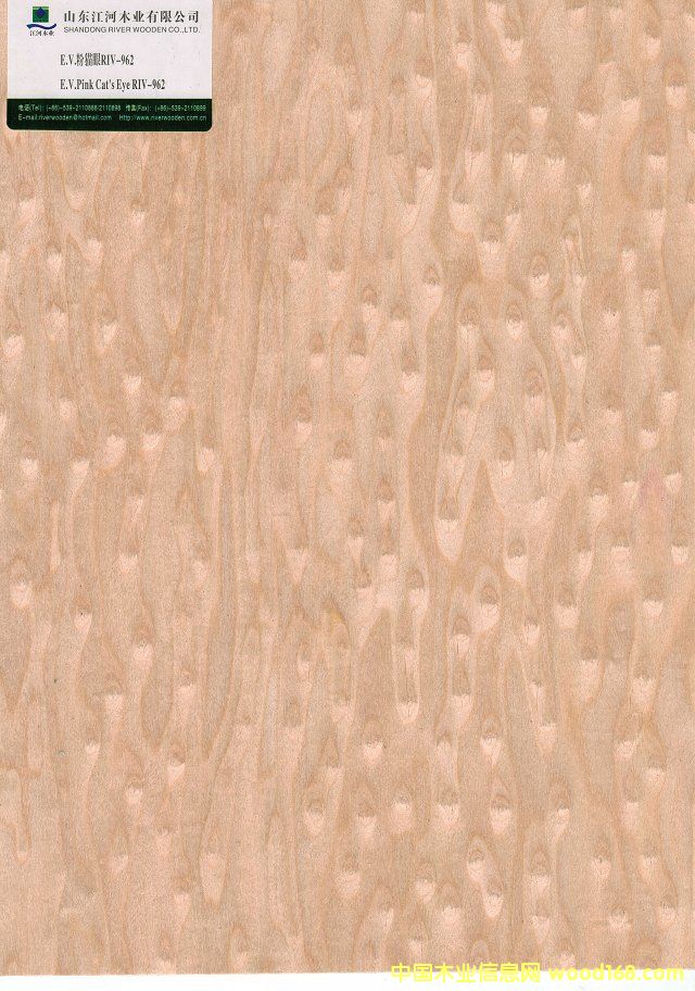 ��؈��962��Ԕ����B