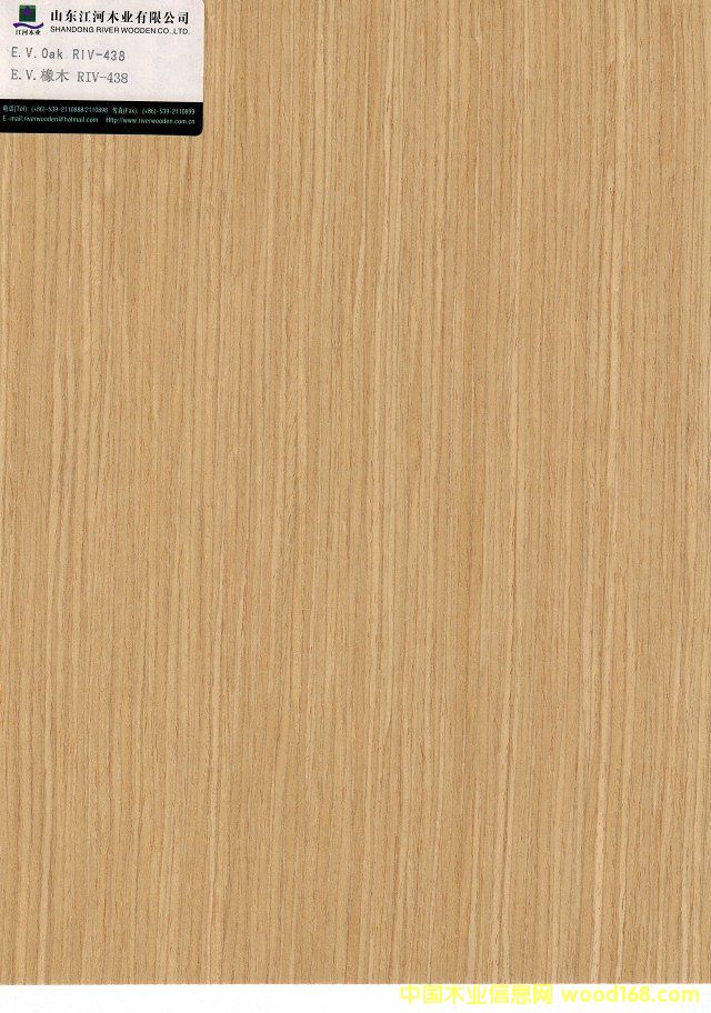 ��ľ438��Ԕ����B