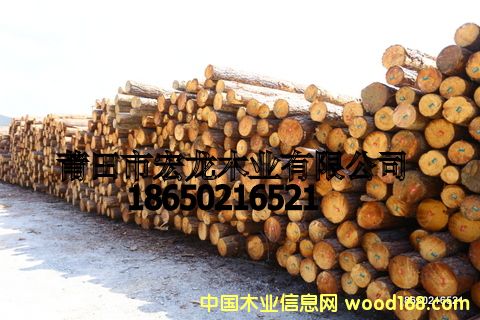 �����ԭľ��Ԕ��(x��)��B