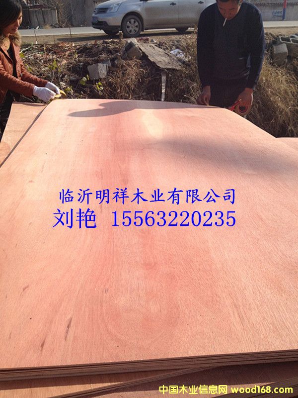 ����(y��ng)9����ǹ�����z�ϰ��Ԕ����B