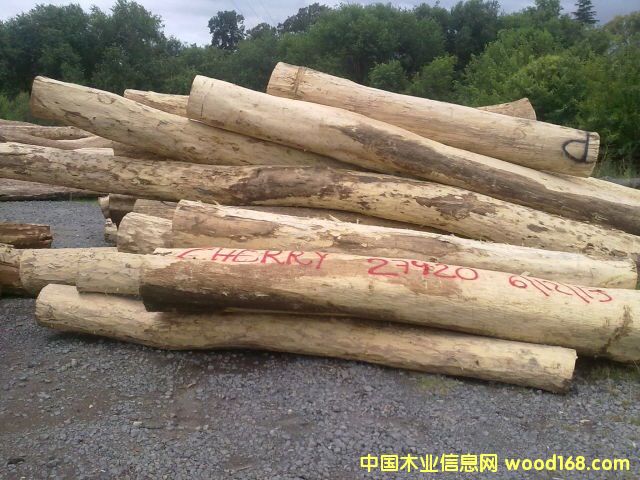 �t̴���Ԕ��(x��)��B