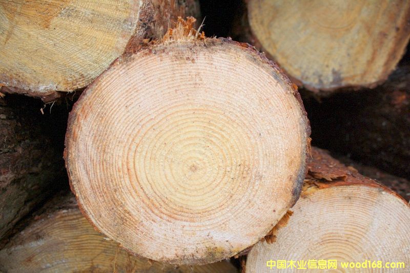 ��ɼ��Ԕ��(x��)��B