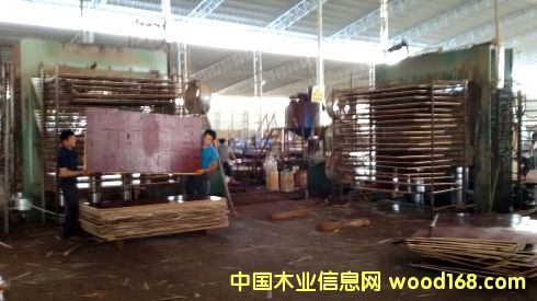 �V��һ������ģ���Ԕ����B