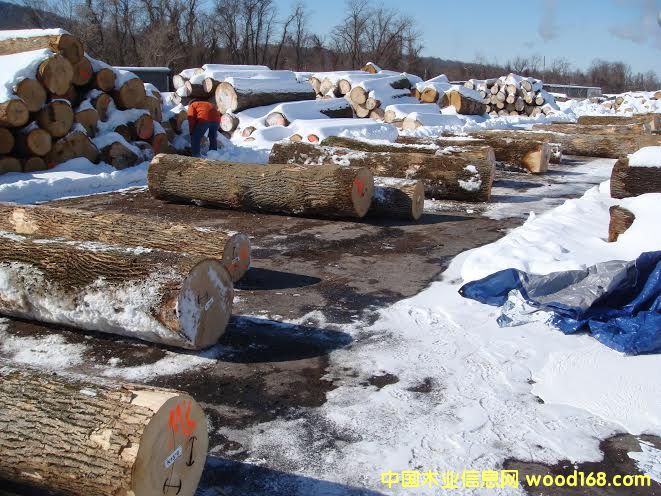 美國(guó)進(jìn)口白蠟 美國(guó)進(jìn)口白蠟