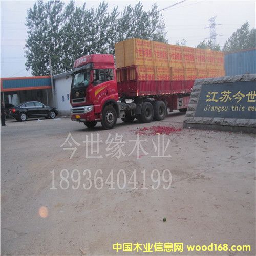 ����ģ���Ԕ����B