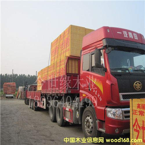 �������ߌӽ���ģ���Ԕ����B