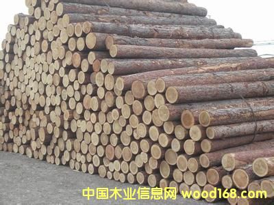 ���~�ɵ�Ԕ����B