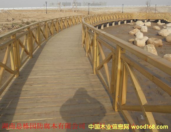 ����ľľ��