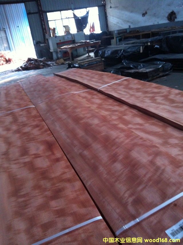 ������Ӱ ��Ӱ �b�ľƤ