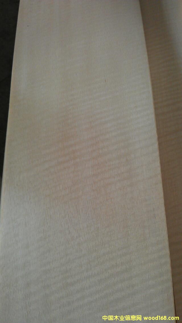 ���ް�ӰľƤ  �b�ľƤ��Ԕ��(x��)��B