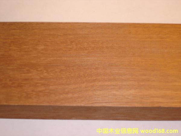 ��ľ��B ��ľ���⽨����