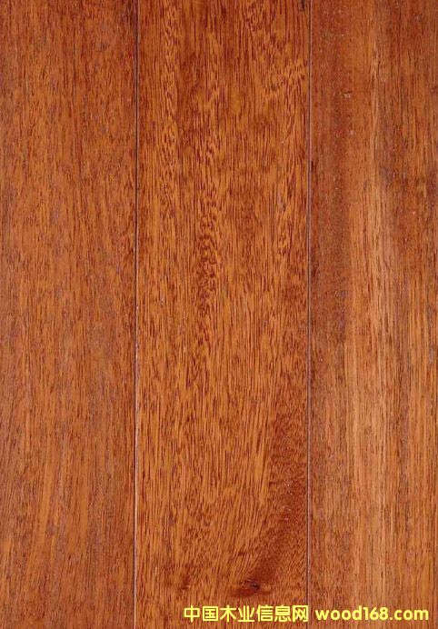 �c���鿴ɽ�|���}��r���Ԕ���Y��