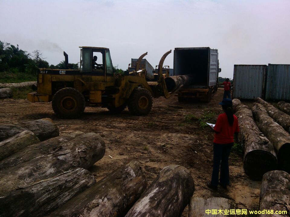 ԭľ���۵�Ԕ����B