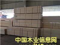 ��Ѭ���z�ϰ�ľ����Ԕ��(x��)��B