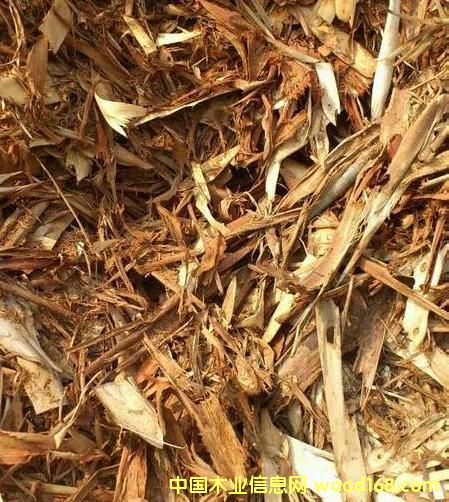 ��ľ��(sh��)Ƥ��Ԕ��(x��)��B