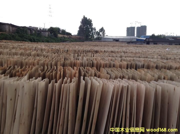 ��ľ�ΰ��Ԕ��(x��)��B