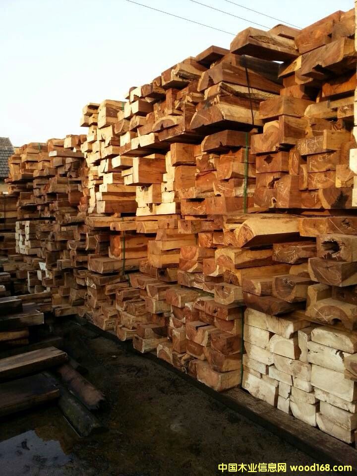 �c(di��n)���鿴������֦�Ŵ�DƬ