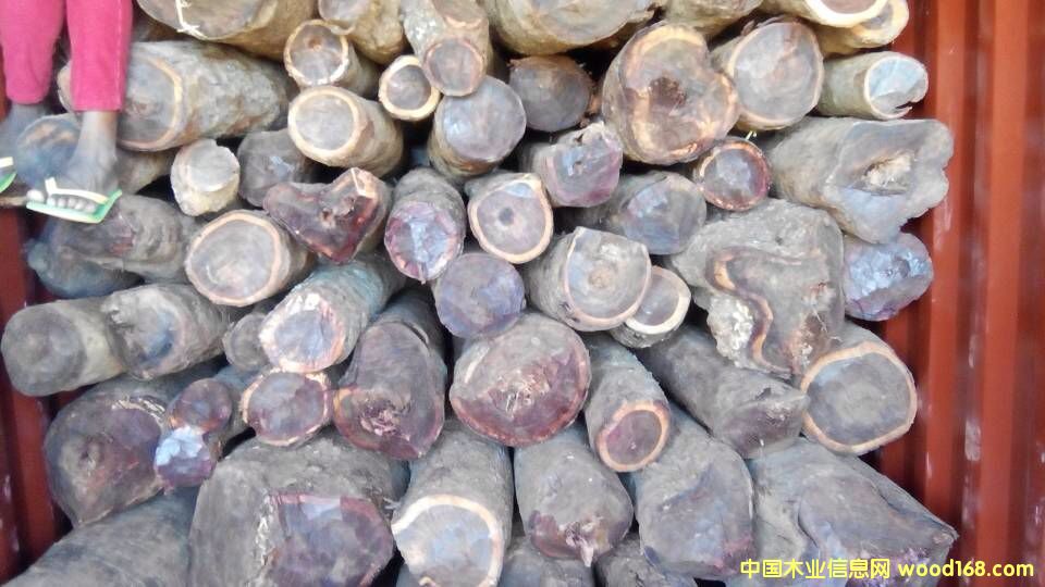 �c(di��n)���鿴ٝ�ȁ�Ѫ̴ľ�Ŵ�DƬ