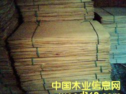 ��ľ�Aо��Ԕ����B