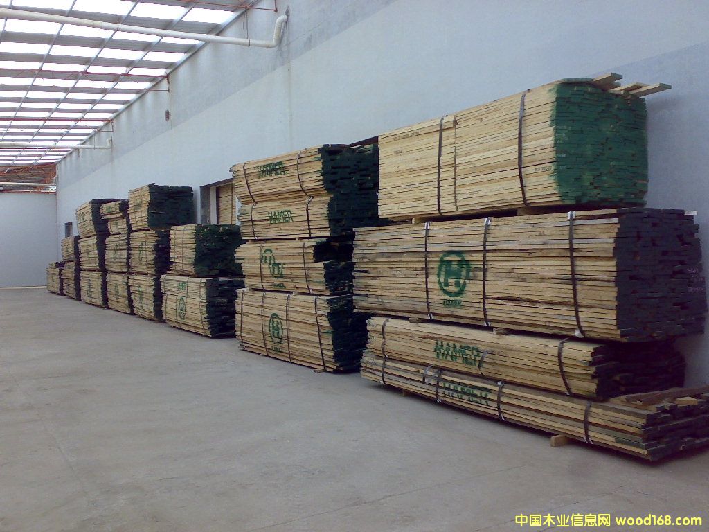 紅橡的詳細(xì)介紹